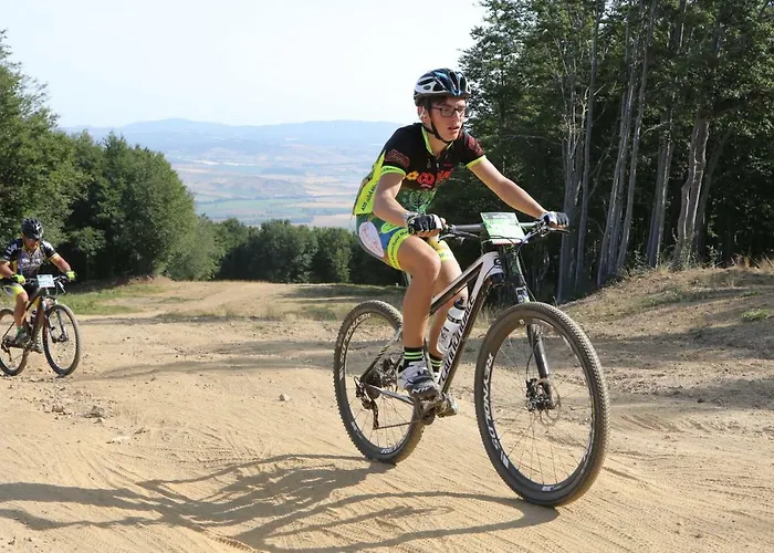 Giulia Apartamento *